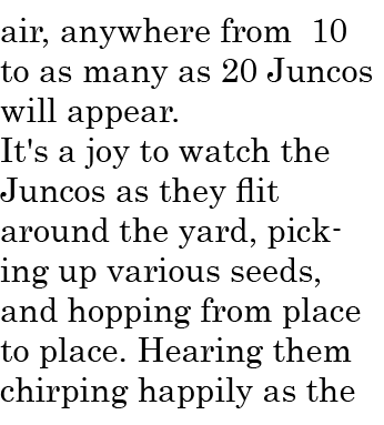 air, anywhere from 10 to as many as 20 Juncos will appear. It's a joy to watch the Juncos as they flit around the yar...